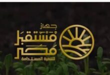ألف كيلومتر من شبكات الكهرباء لدعم مشروعات الدلتا الجديدة