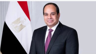 تعاون مصري مع كوريا الجنوبية وماليزيا وإندونيسيا في البتروكيماويات والطاقة
