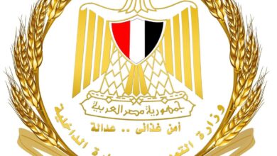 التموين تتحرك سريعاً.. استبدال شحنة دقيق ببنها وسحب عينات للتحليل بعد تداول فيديو عبر السوشيال ميديا