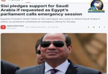 موقع قبرصي يبرز دعم مصر لأمن السعودية