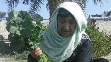 أم داود.. حكاية مجاهدة سيناوية حملت الوطن في ثوبها أم داود.. حكاية مجاهدة سيناوية حملت الوطن في ثوبها