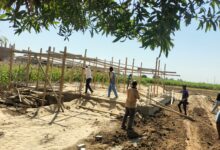 حملات مكثفة لرفع كفاءة الطرق وتجميل القرى بالقرنة