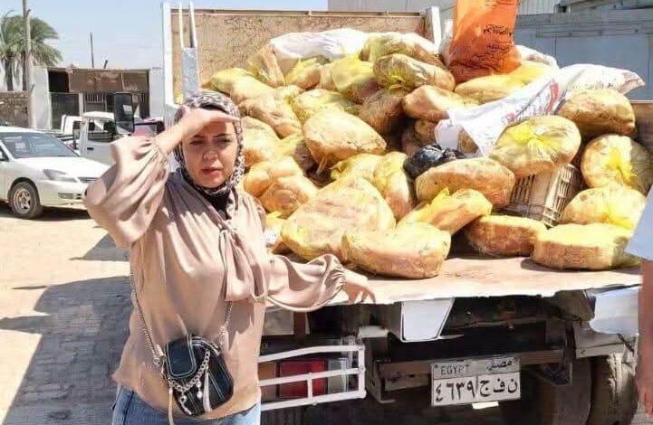 ” وزارة الزراعة ” تعلن ضبط 175طن لحوم دواجن غير صالحة للاستهلاك الآدمى خلال شهر سبتمبر