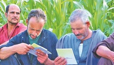 تسجيل 285 ألفا و106 كروت للفلاح بالقطاع الزراعي ببني سويف تسجيل 285 ألفا و106 كروت للفلاح بالقطاع الزراعي ببني سويف