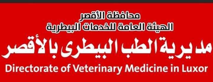 إطلاق حملة التطعيم ضد مرض الجلد العقدى والطاعون بجميع قرى الأقصر