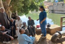 ” بيطرى الأقصر” يطلق ندوات توعوية حول مخاطر الحمى القلاعية وحمى الوادى المتصدع والجلد العقدى