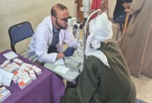 الرعاية الصحية تطلق حملة بالمنيا للكشف على 2000 مواطن خلال 3 أيام بالتعاون مع راعي مصر